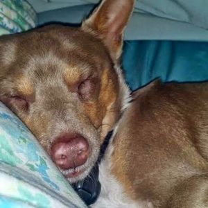 Meet your Posher, Roberta